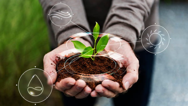 smart-agriculture-iot-with-hand-planting-tree-background (1) (1)